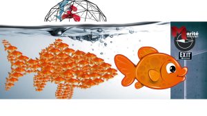 latebloomer-mariterodriguez